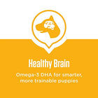 Iams PROACTIVE HEALTH Puppy Dry Dog Food - Chicken - FushionGroupCorp