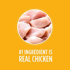 Iams PROACTIVE HEALTH Puppy Dry Dog Food - Chicken - FushionGroupCorp