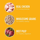 Iams PROACTIVE HEALTH Puppy Dry Dog Food - Chicken - FushionGroupCorp