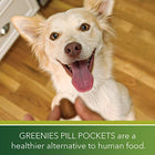 Greenies Pill Pocket Soft Dog Treats - Chicken - FushionGroupCorp