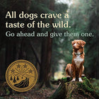 the Wild Grain Free High Protein Natural Dry Dog Food - FushionGroupCorp
