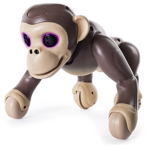 Zoomer Chimp, Interactive Chimp with Voice Command, Movement and Sensors by Spin MasterZoomer Chimp, Interactive Chimp with Voice Command, Movement and Sensors by Spin Master - FushionGroupCorp