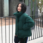 Autumn Winter Jacket Women Coat Fashion Female Stand Winter Jacket Women Parka Warm Casual Plus Size Overcoat Jacket Parkas Q811 - FushionGroupCorp