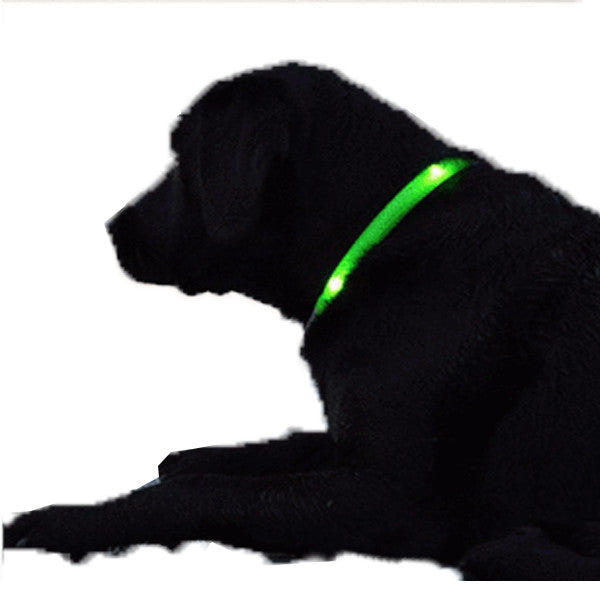 LED Dog Collar - Assorted Colors and Sizes - FushionGroupCorp